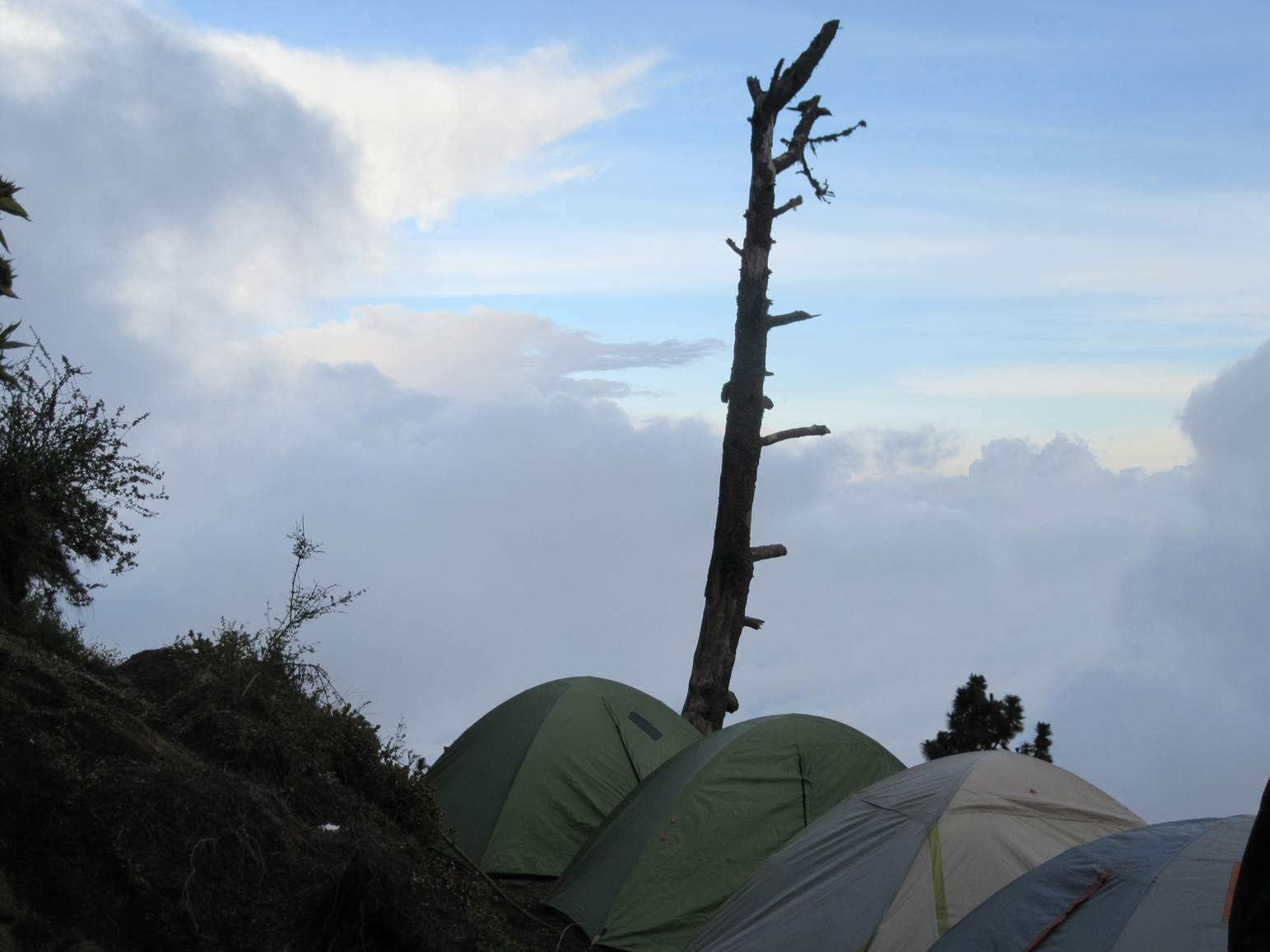 Camp View 1