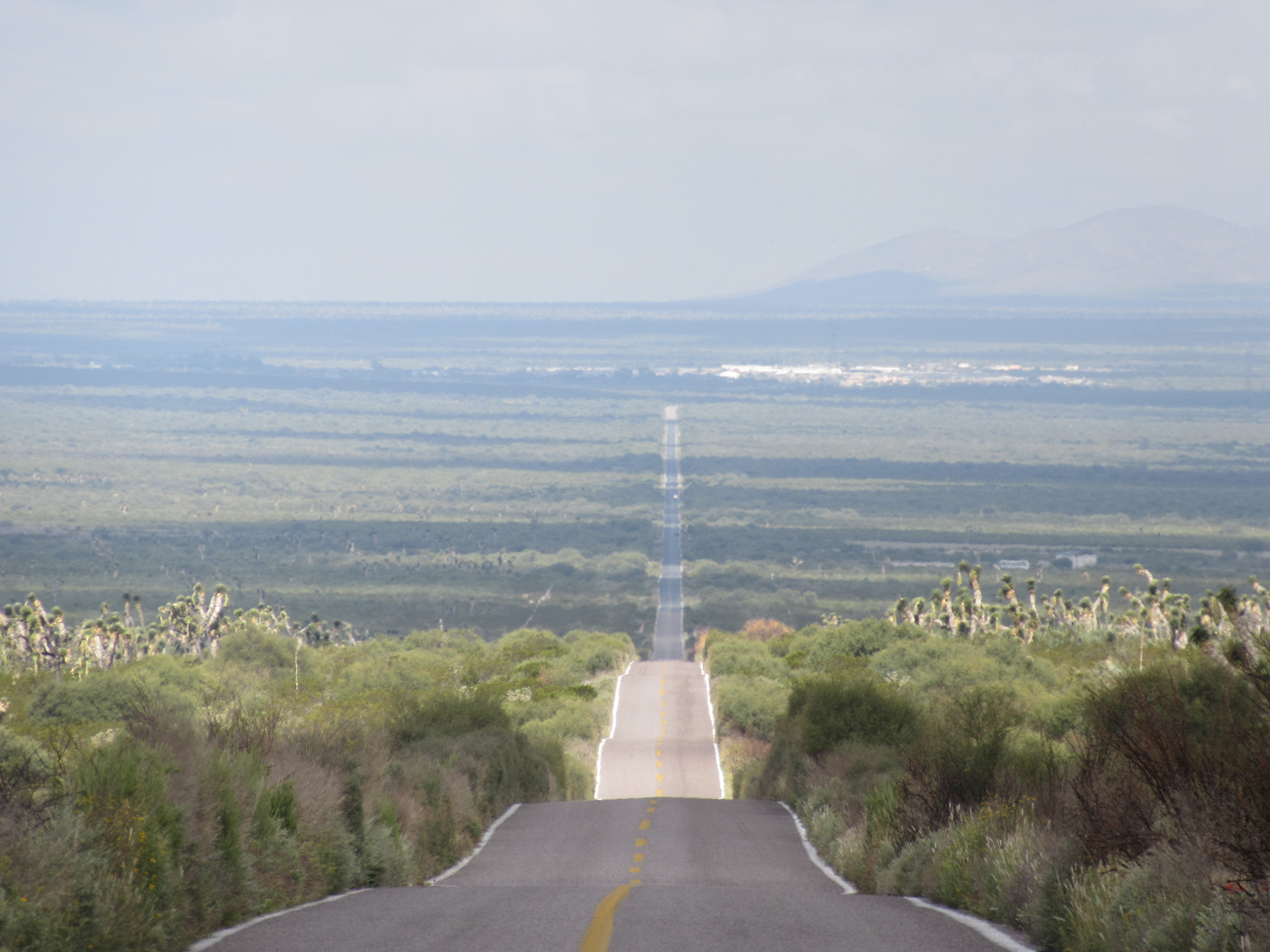 Zacatecas Landscape