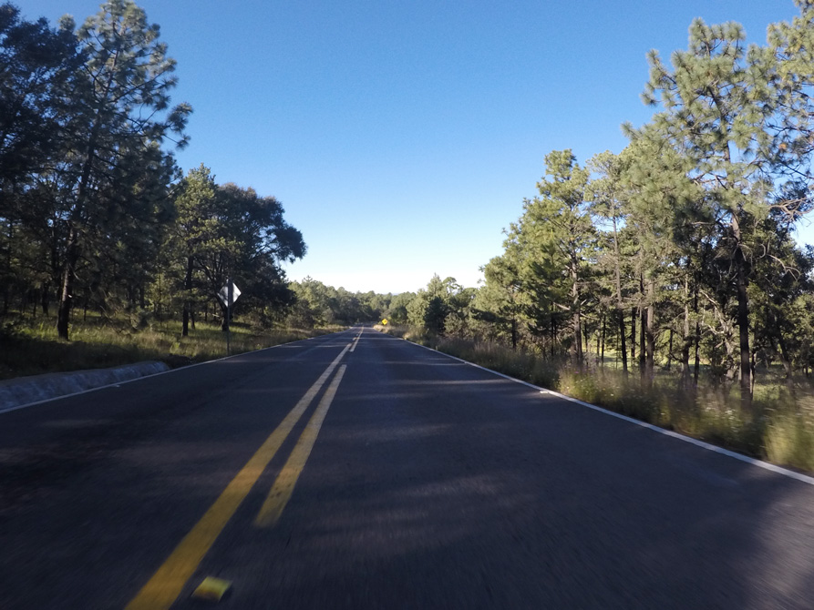 Route 40 Curves