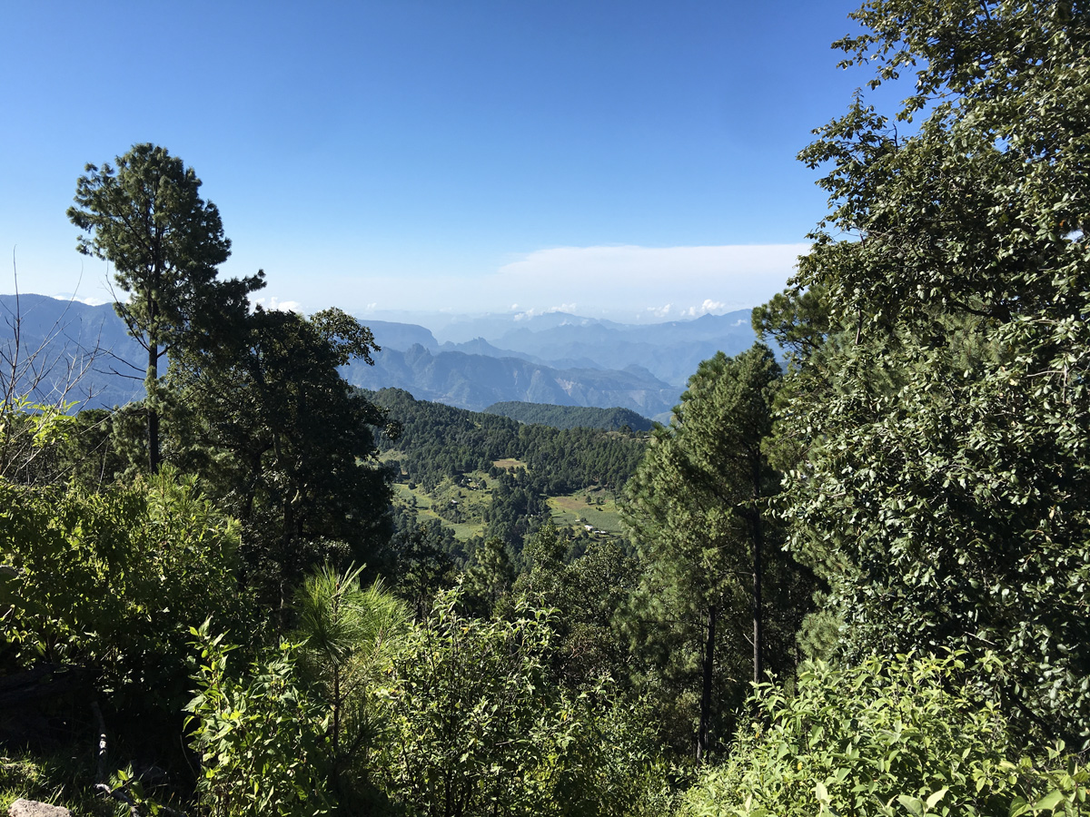 Mountain Vista