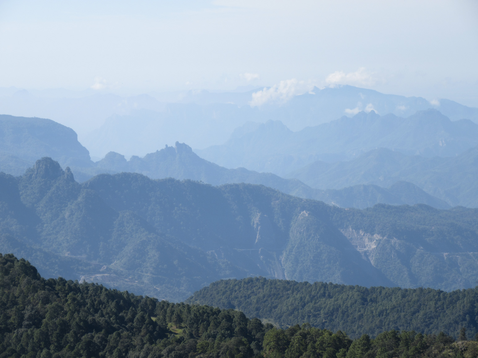 Canyon View