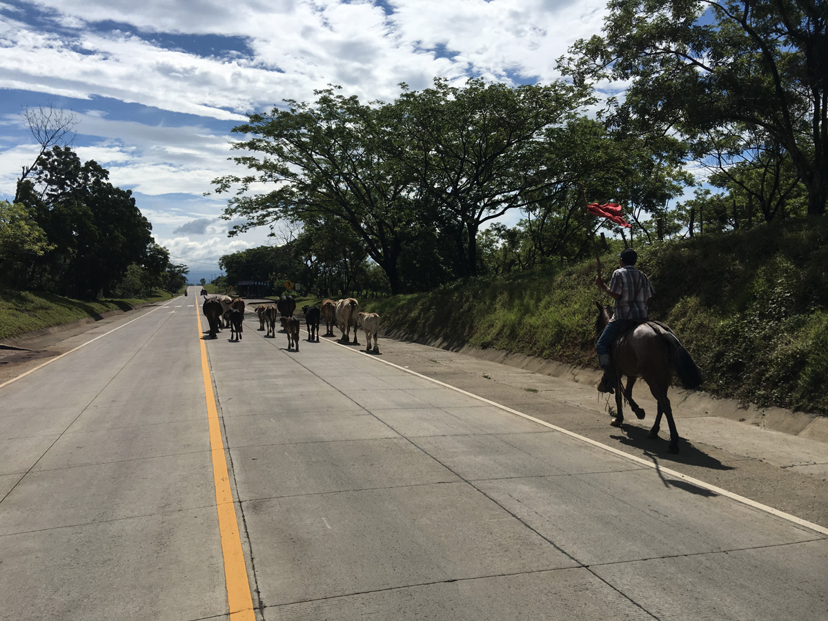 Nicaragua Road
