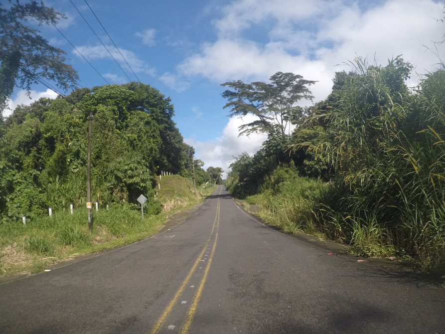 Road to Monte Verde 1