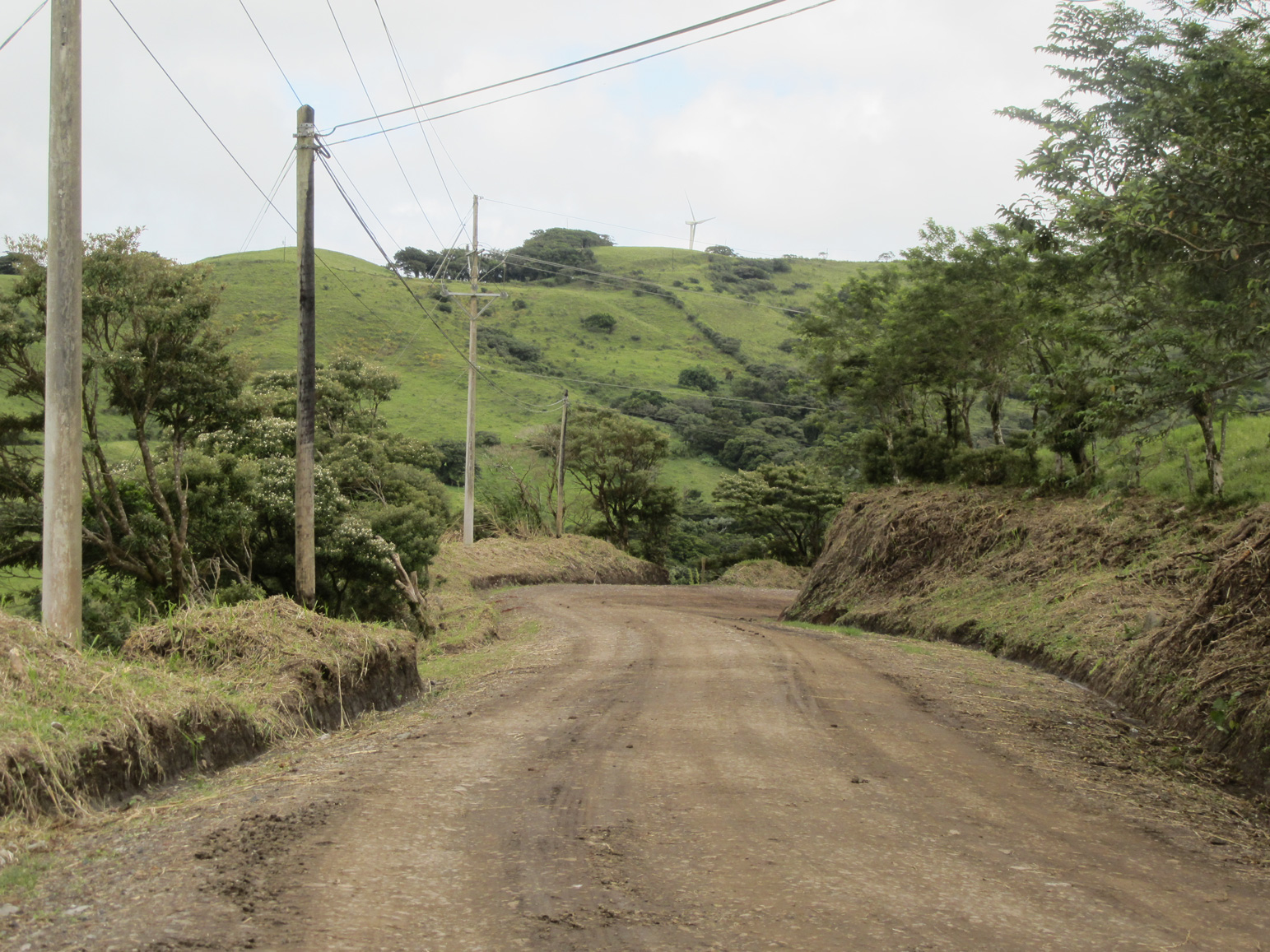 Road to Monte Verde 3