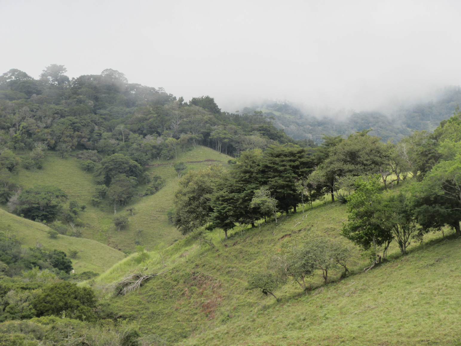 Road to Monte Verde 6