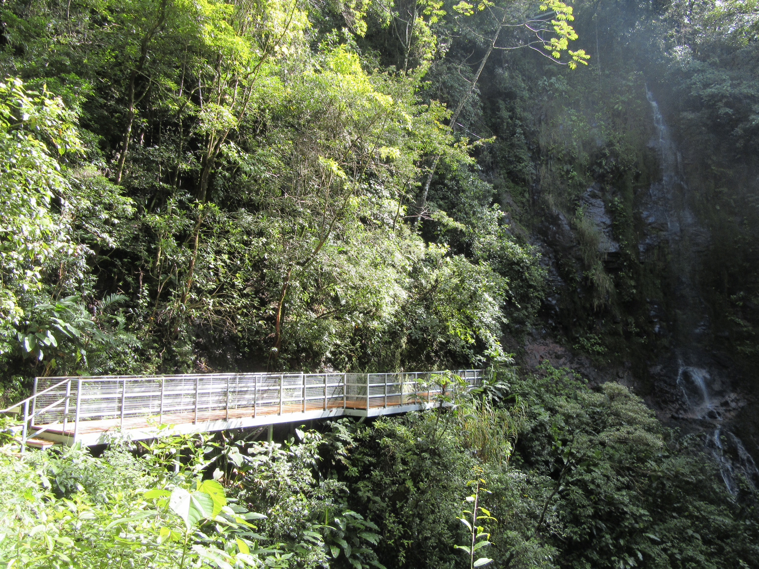 Hike Monte Verde 2