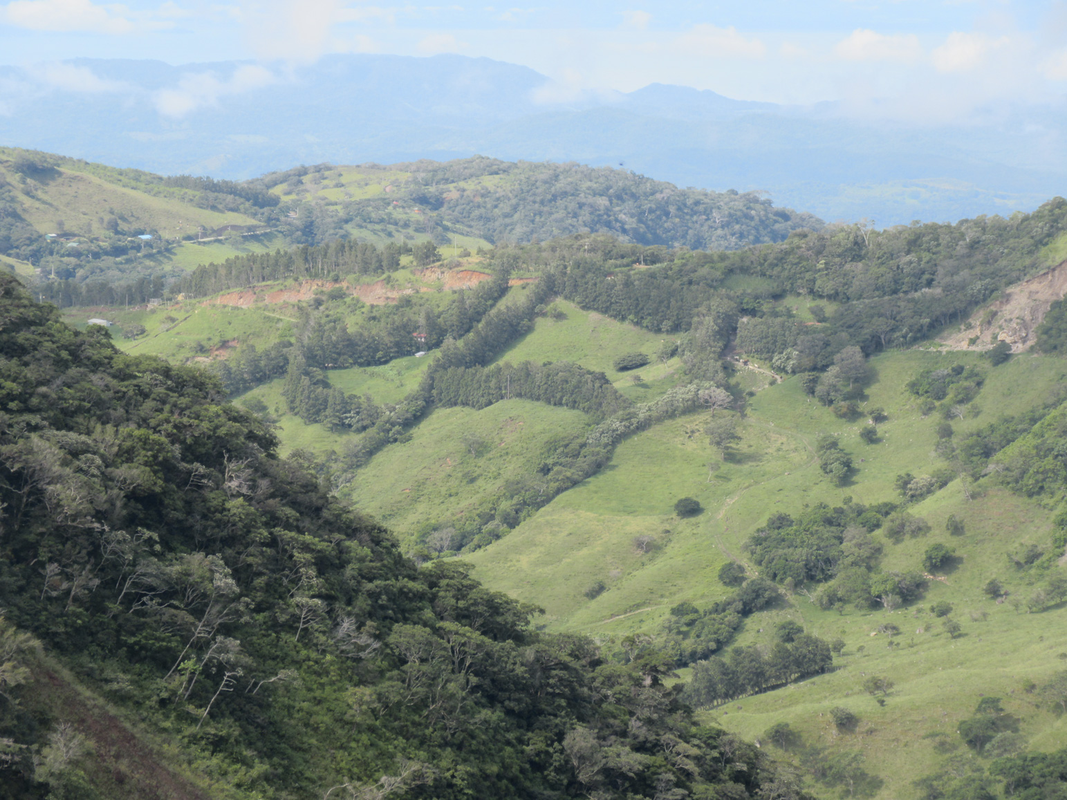 Hike Monte Verde 3