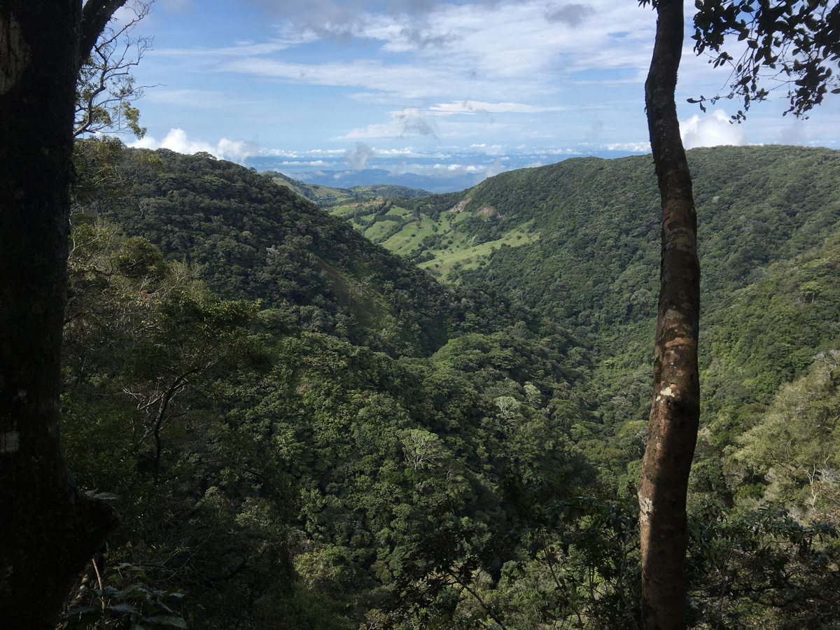 Hike Monte Verde 4