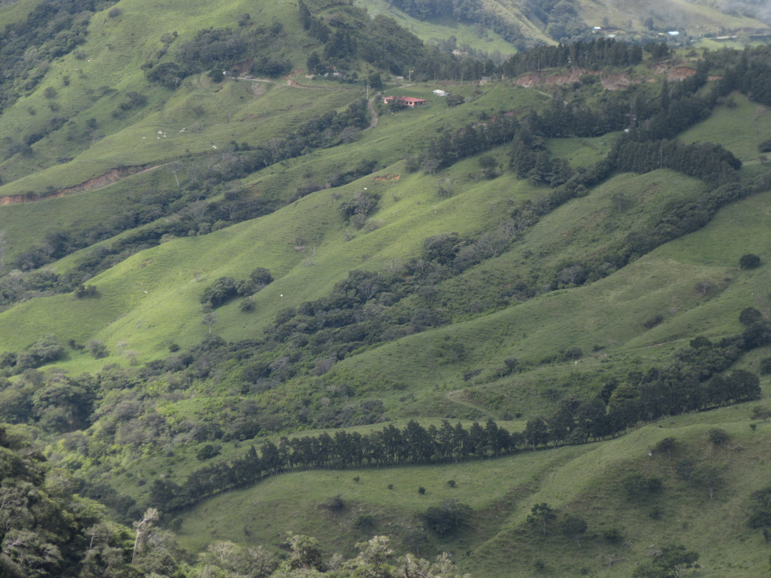 Hike Monte Verde 6