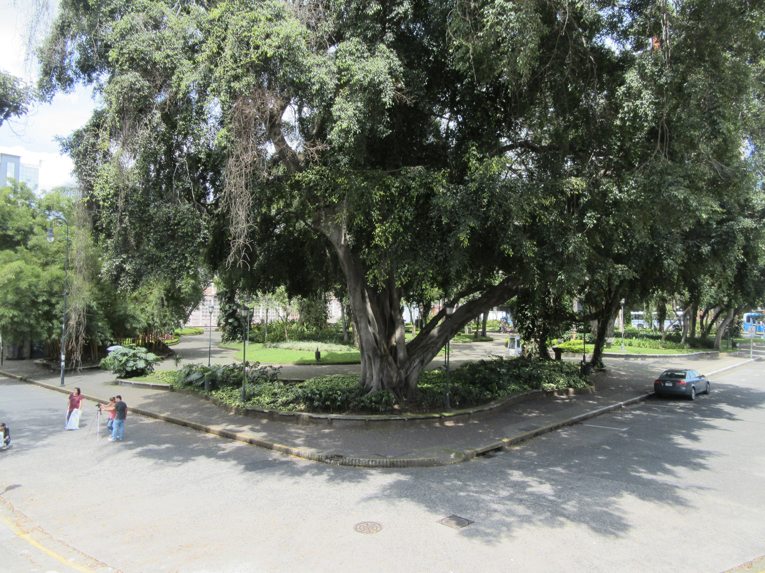 San José Calm 6