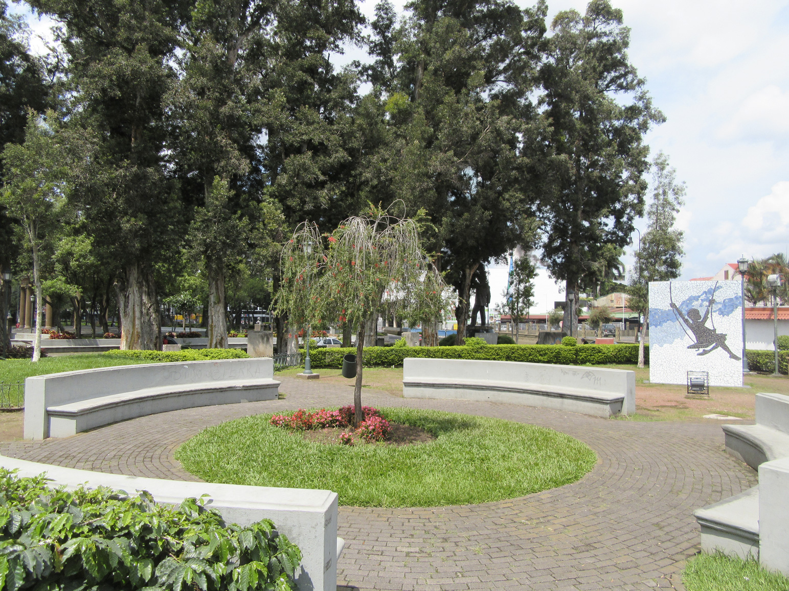 San José Calm 4