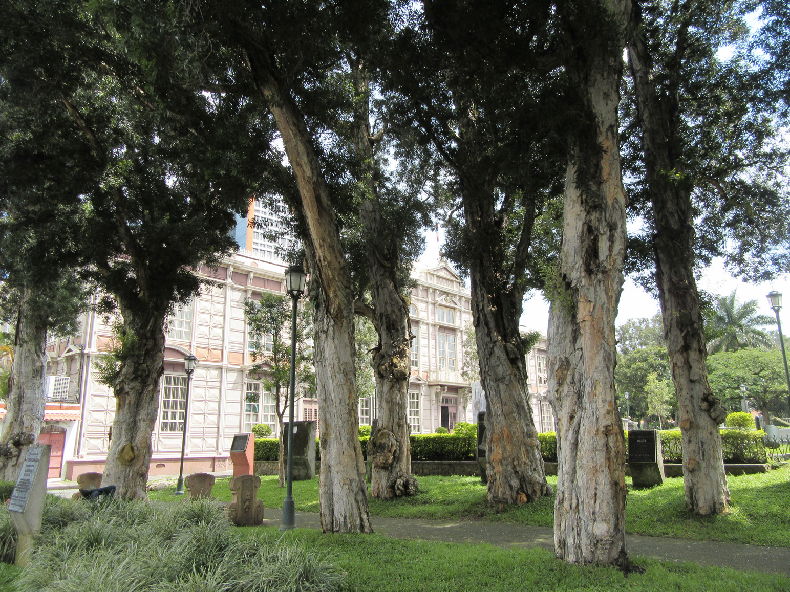 San José Calm 2