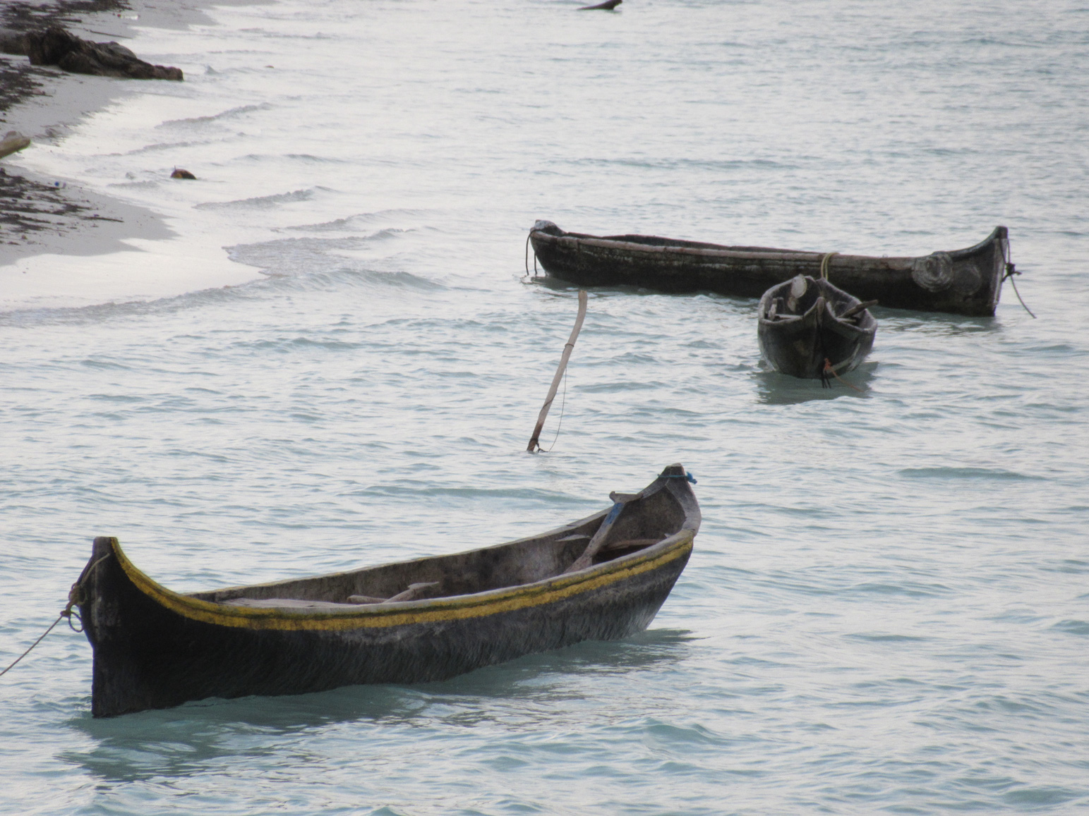 Sailing 8