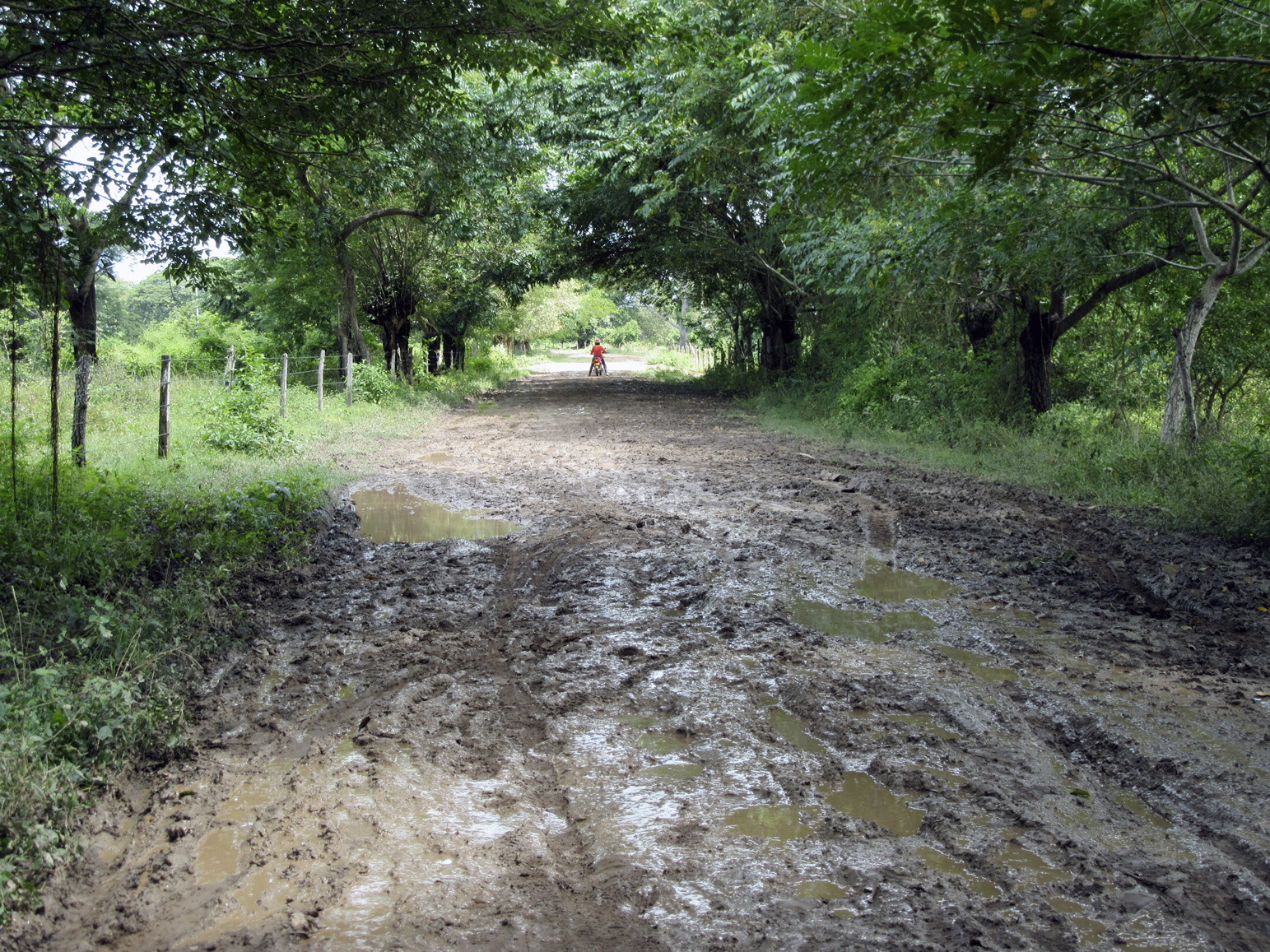 Sticky Mud