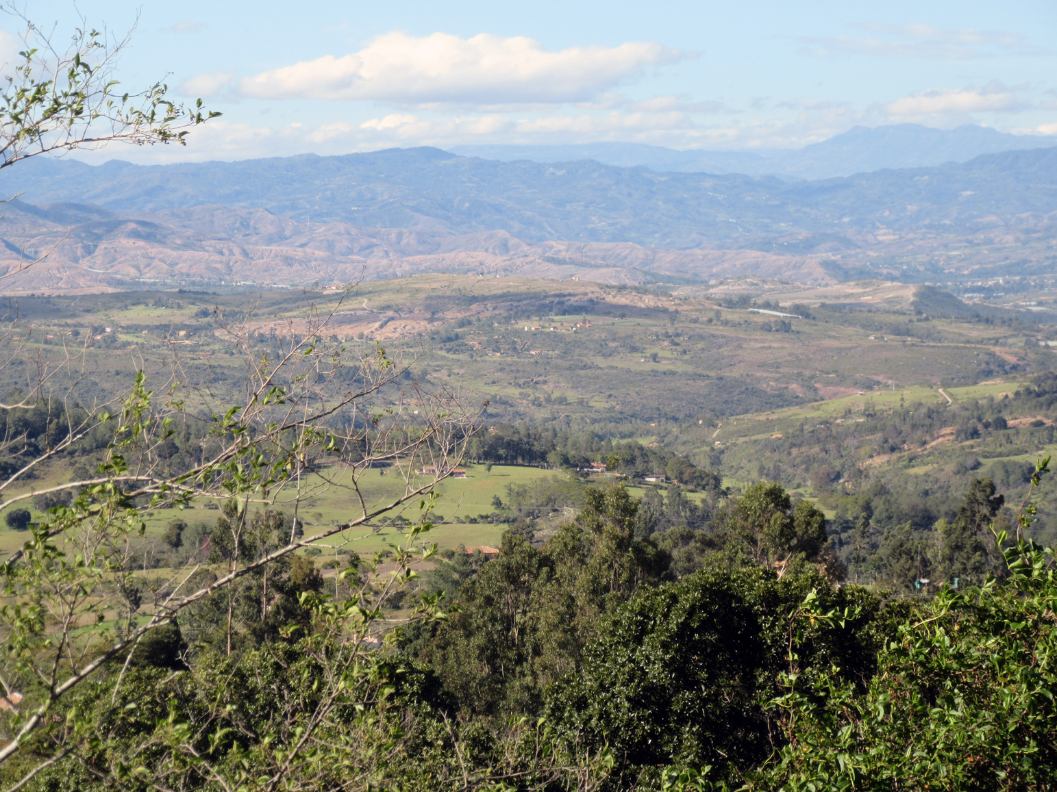Andean Panorama