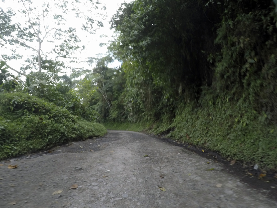 Winding Road 1