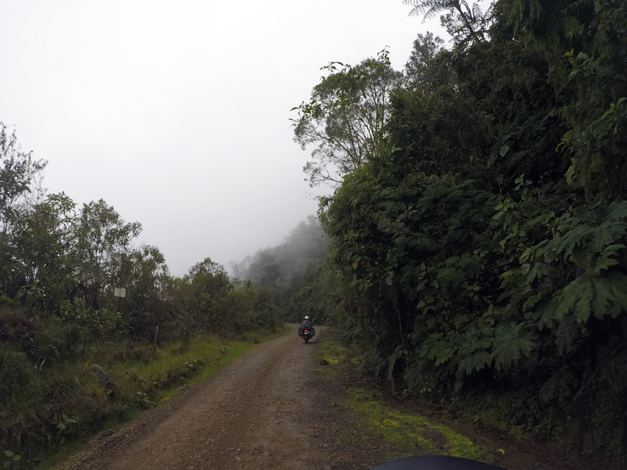 Drew sur la route