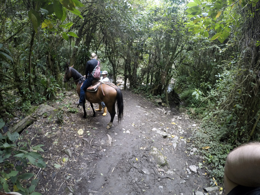 Sentier boueux