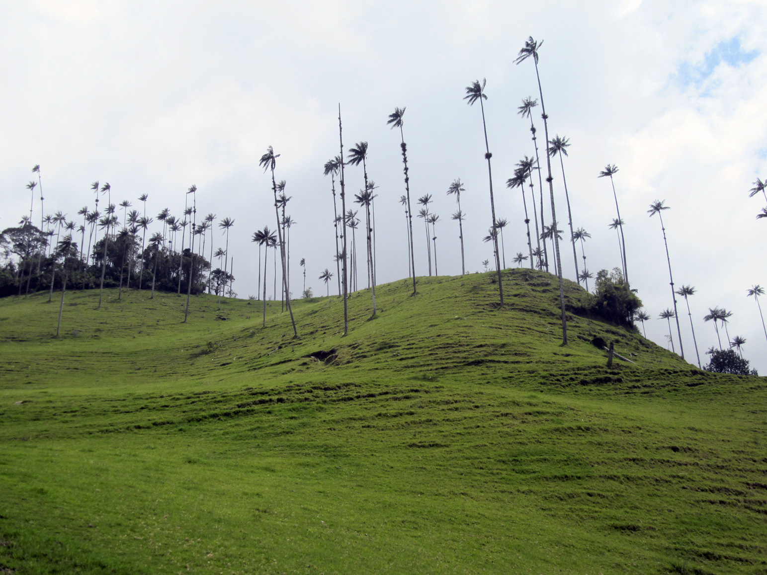 Paysage majestueux 1