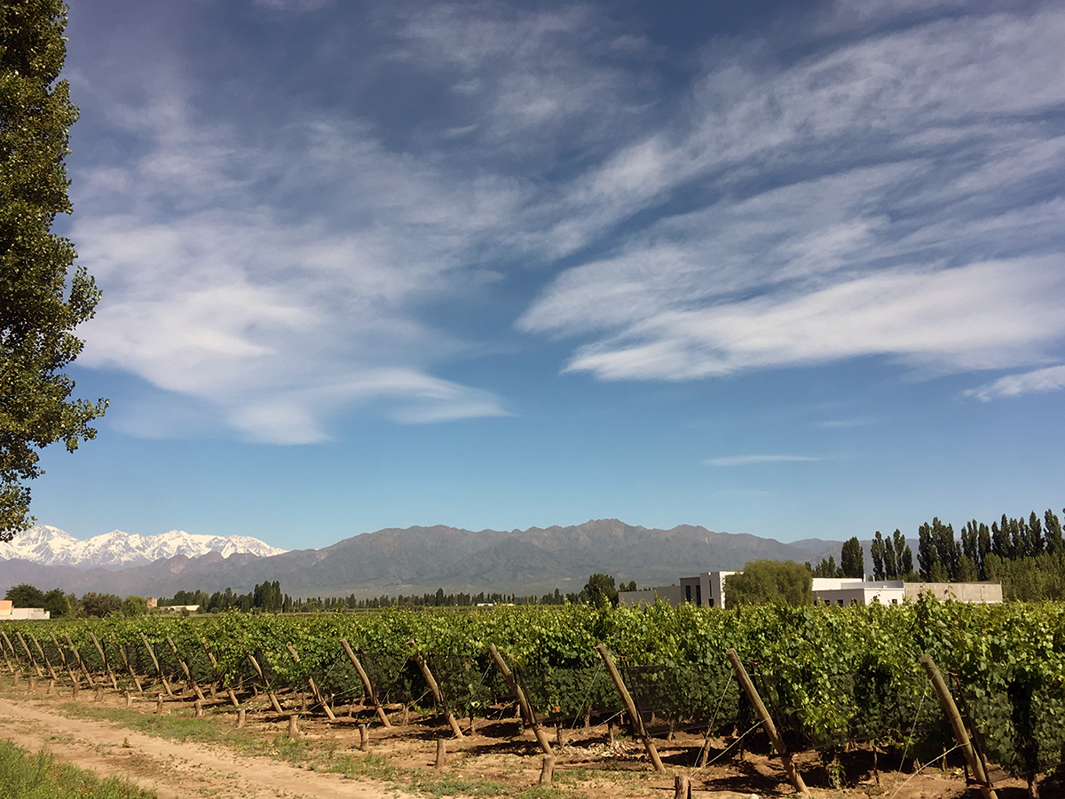 2016-12-12-mendoza-01