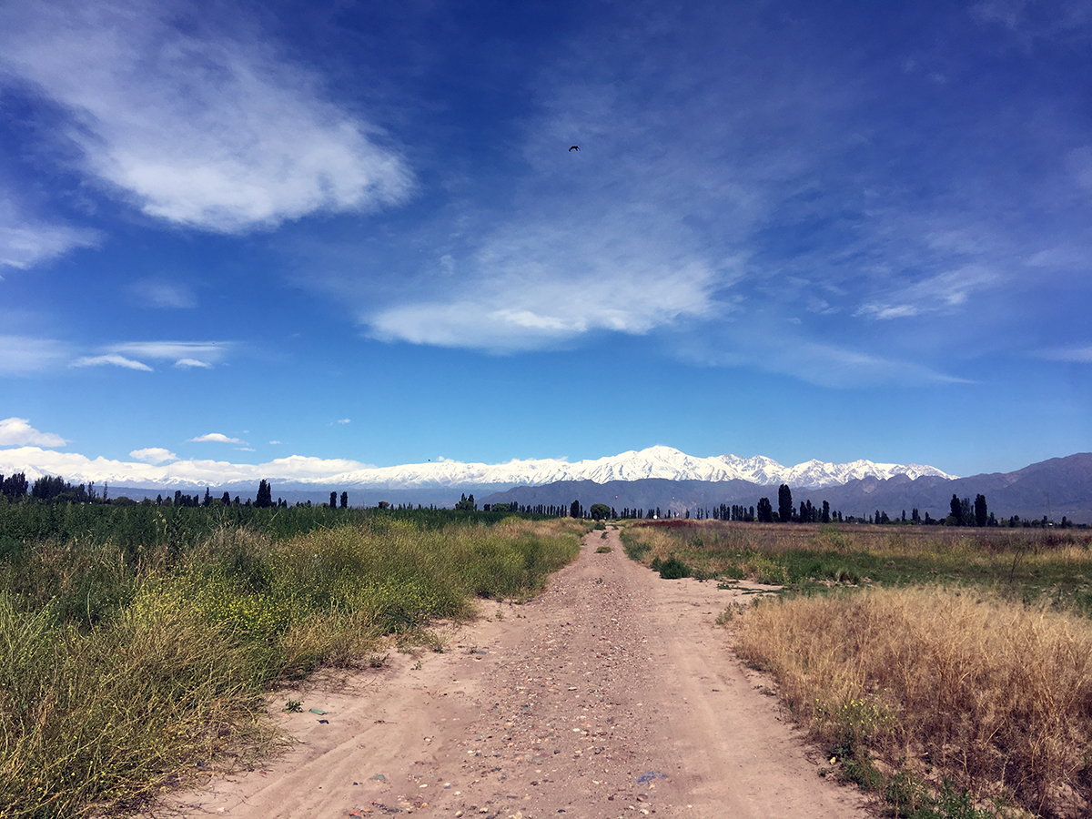 2016-12-12-mendoza-11