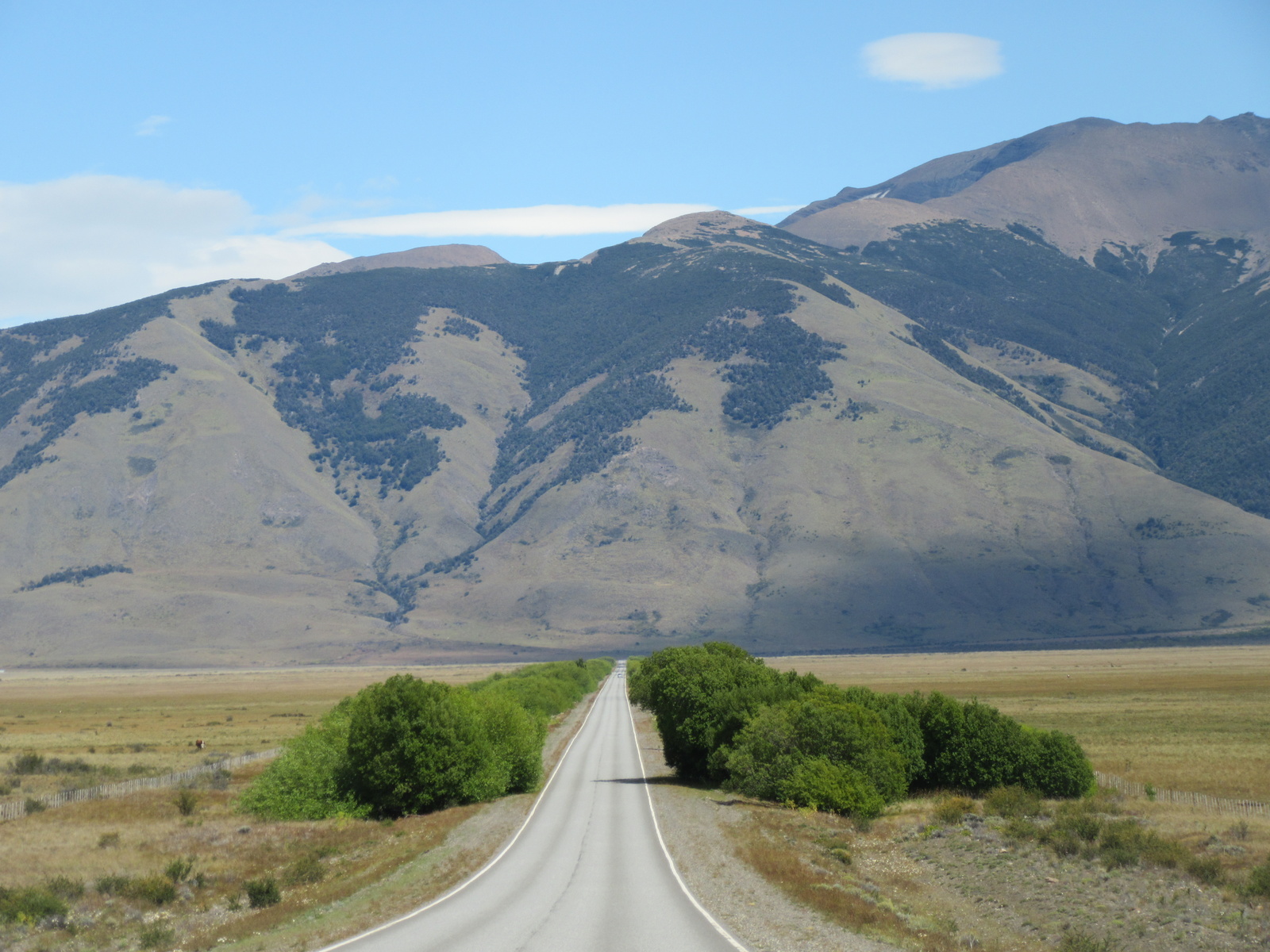 2017-02-01-el-calafate-014