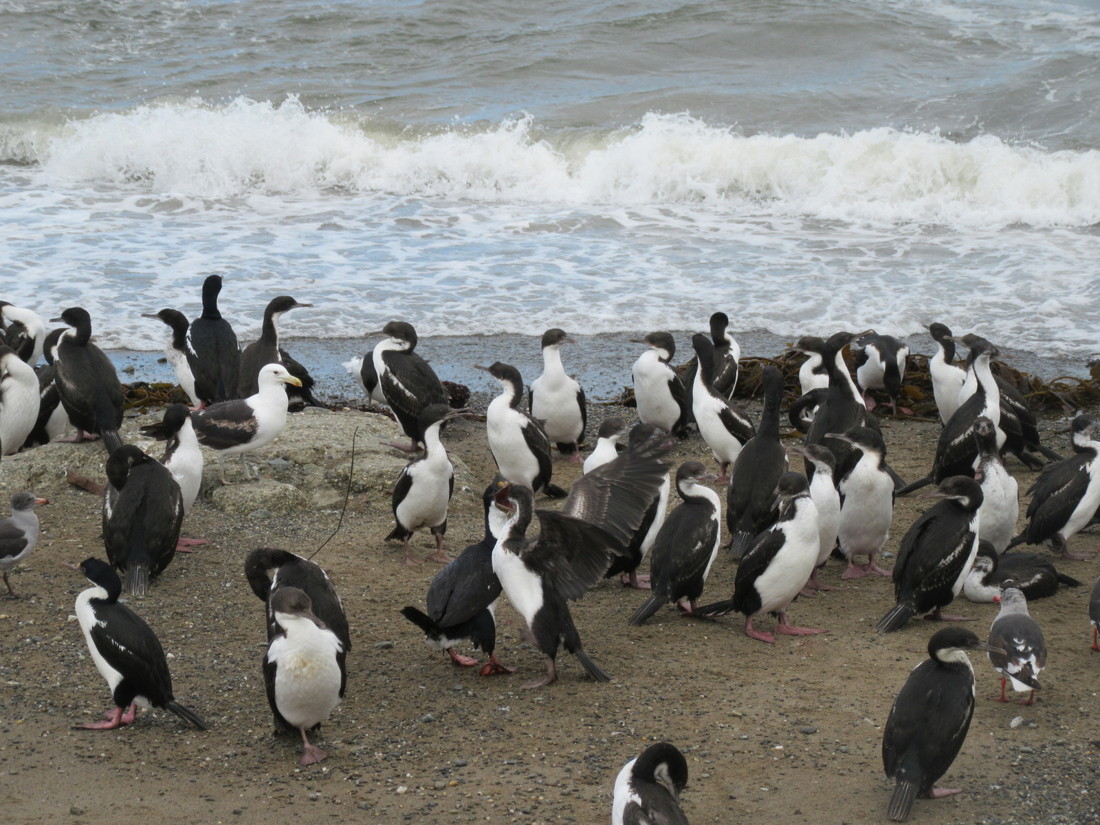 2017-02-03-punta-arenas-49