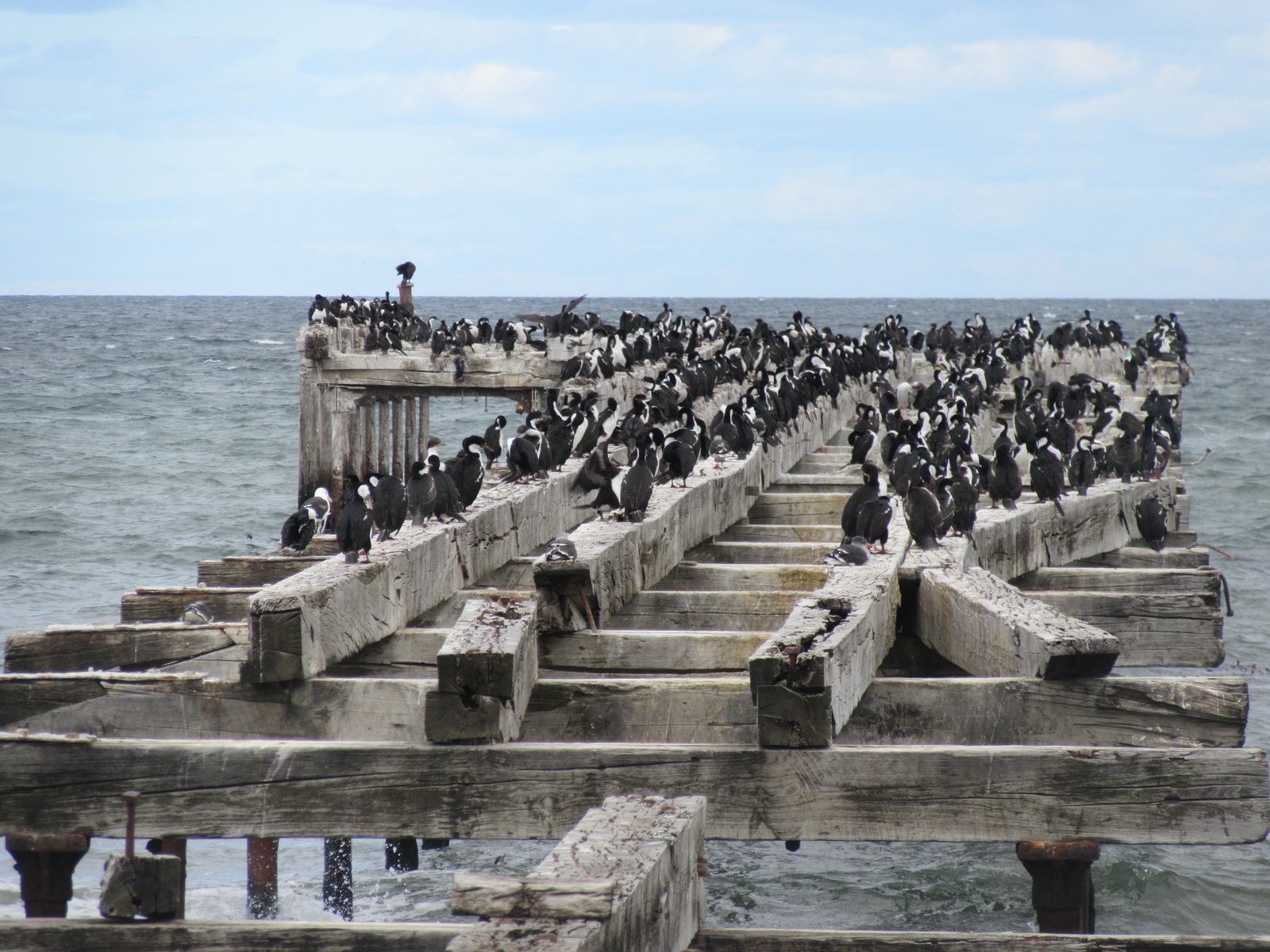 2017-02-03-punta-arenas-54